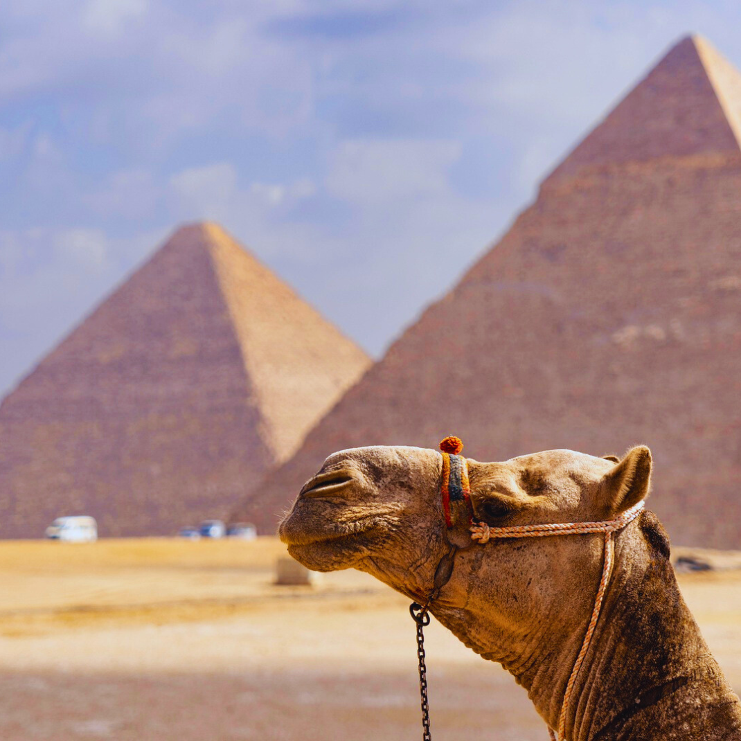 cairo 1 day trip hurghada by intergulf